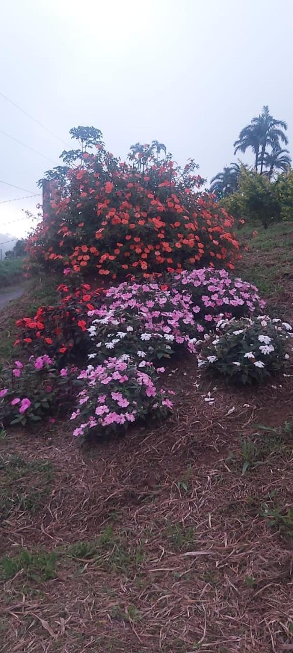El Rincon De Las Flores Bajo Tigre Exteriör bild