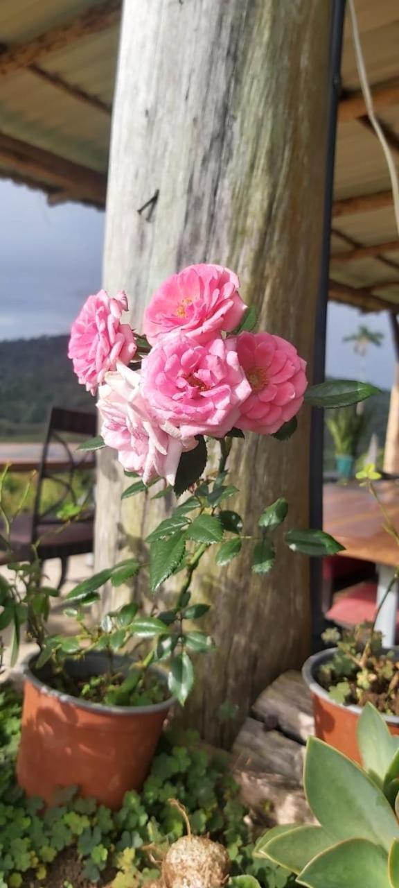 El Rincon De Las Flores Bajo Tigre Exteriör bild